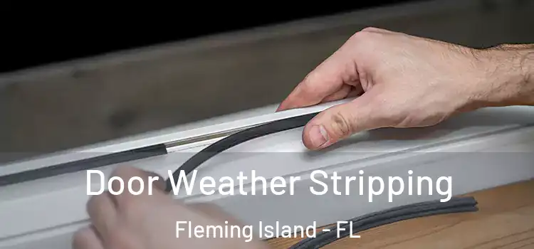 Door Weather Stripping Fleming Island - FL