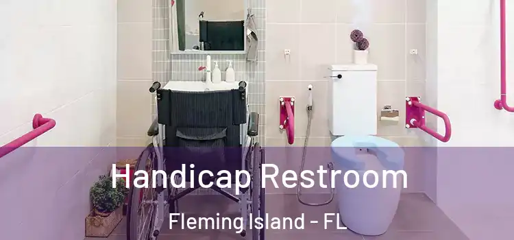 Handicap Restroom Fleming Island - FL
