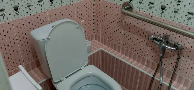 Meeting Diverse Needs With Accessible Restroom Solutions in Fleming Island, FL